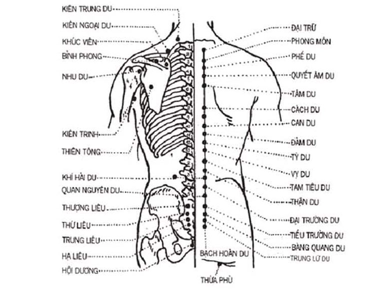 Huyệt đạo người chữa thoát vị đĩa đệm