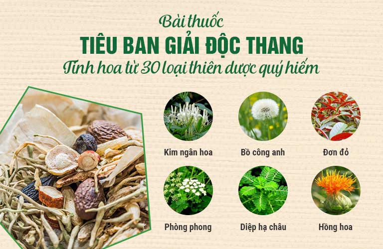 Tiêu ban Giải độc thang là bài thuốc khá nổi tiếng của Trung tâm Thuốc dân tộc