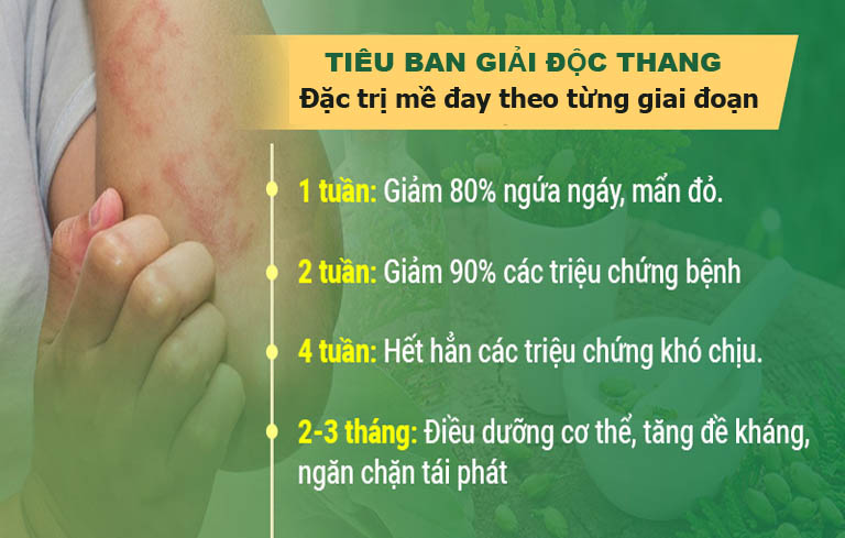 Lộ trình điều trị của bài thuốc Tiêu ban giải độc thang