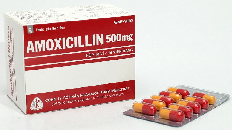 Amoxicillin Là Thuốc Gì? Thành Phần, Công Dụng, Giá Bán