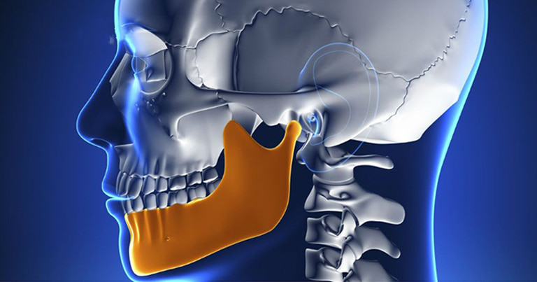 Xương Hàm Dưới: Cấu Trúc, Chức Năng Và Các Vấn Đề Thường Gặp