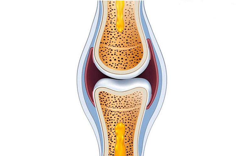 Chất nhờn giúp khớp hoạt động trơn tru hơn