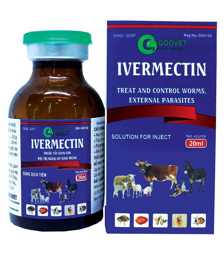 Ivermectin là thuốc trị ghẻ đường uống có tác dụng mạnh