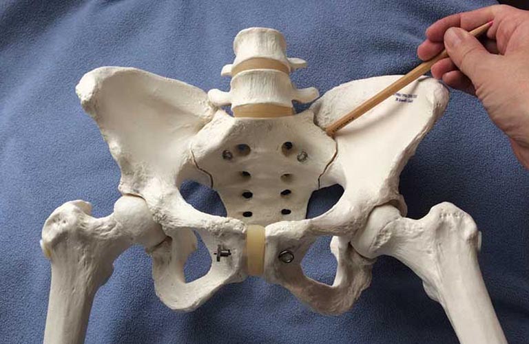 Kết nối với khớp cùng - chậu (Sacroiliac Joint)